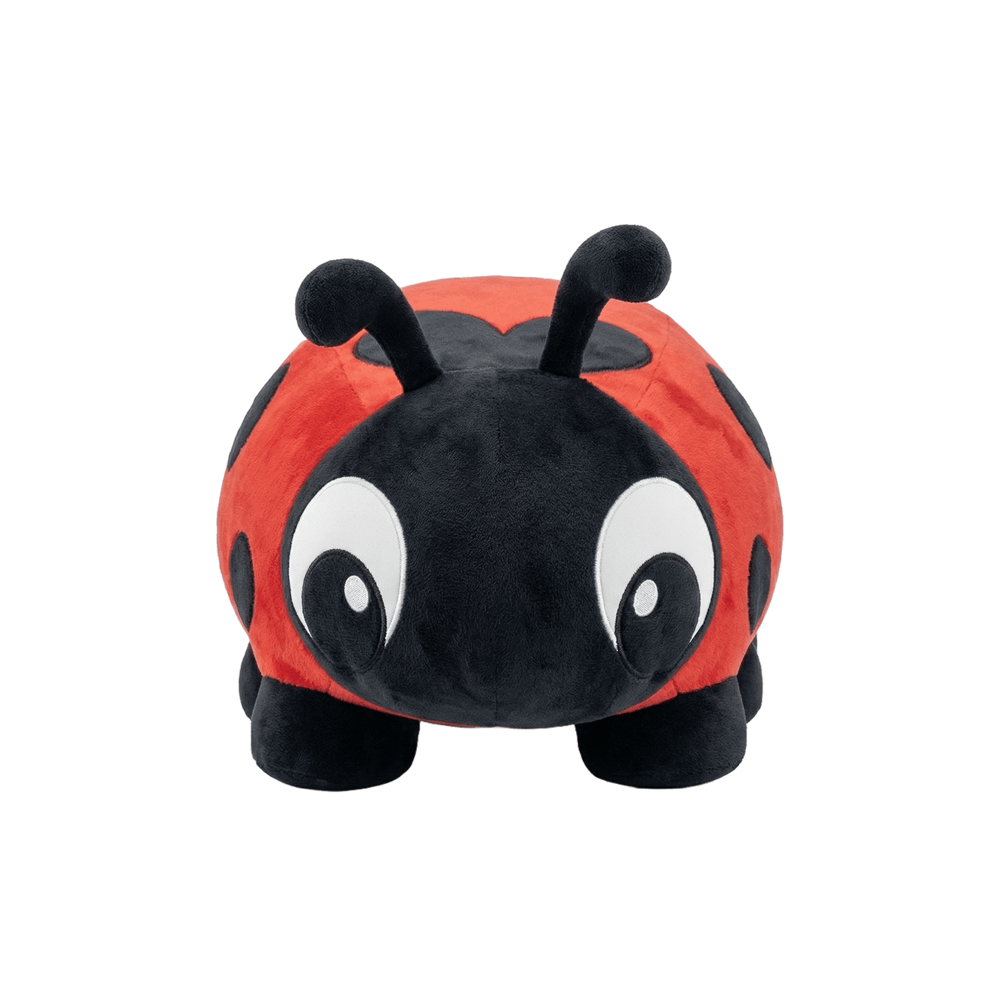 LadyBug Bouncy