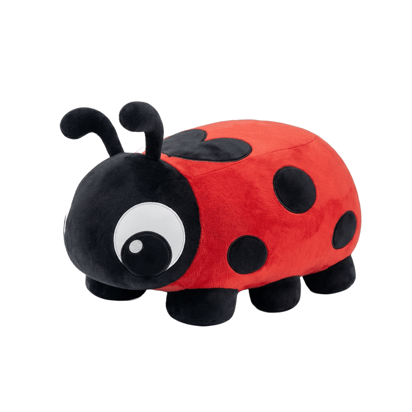 LadyBug Bouncy