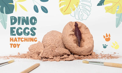 Dino eggs hatching toy – a dinosaur toy for both boys and girls
