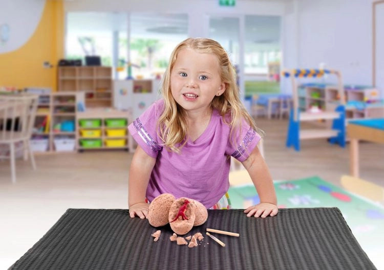 3 WAYS DINOSAUR EGG TOYS AID YOUR CHILD’S DEVELOPMENT